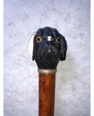 Stick with knob depicting a dog&#39;s head in ebony and ivory.Canna in malacca.     