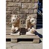 Magnifica coppia di leoni in marmo greco Thassos - H 50 cm - Venezia