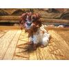 Cane Meissen XIX secolo