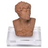 Piccolo busto femminile in terracotta - O/5804 -