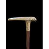 Bastone con impugnatura in argento raffigurante una cicala in stile art nouveau.Canna in palissandro.