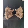 Magnifica coppia di Grifoni in marmo nembro - H 43