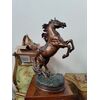 Magnifico cavallo rampante in bronzo - H 68 cm