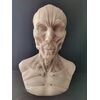 Busto Anatomico finemente definito dal Modello di Houdon - H 60 cm - Marmo di Carrara 