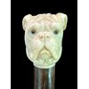 Bastone con pomolo in avorio raffigurante testa di cane molosso.