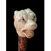 Bastone con pomolo in avorio raffigurante testa di cane molosso.