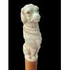 Bastone con pomolo in avorio raffigurante cane seduto.