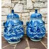 Coppia vasi Hu, Cina ‘900 Kangxi