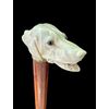 Bastone con impugnatura in avorio a forma di testa di cane.