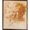 Disegno a sanguigna raffigurante testa di un vecchio