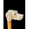 Bastone con pomolo in avorio raffigurante una testa di cane.