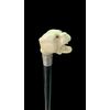 Bastone con pomolo in avorio raffigurante testa di cane bulldog.