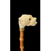 Bastone con pomolo in avorio raffigurante testa di cane bulldog con lingua fuori.