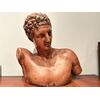 Grande Busto di "APOLLO" in terracotta