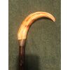 Bastone con impugnatura in dente di facocero,ghiera in argento.