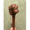 Bastone con pomolo in legno raffigurante una testa di cane.