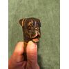 Bastone porta-guanti con pomolo in legno raffigurante una testa di cane.Canna in legno di rosa.