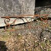 Rostra