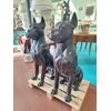 Deliziosa coppia di cani boxer in bronzo - H 90 cm