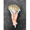 Acquasantiera in porcellana bisquit raffigurante angelo di spalle che regge la coppa a conchiglia.Italia.