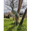 Fenicottero in bronzo - H 220 cm