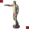 SCULTURA DI MODELLO ANATOMICO MUSCOLARE XIX SECOLO