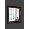 TURTLE AND BRASS MIRROR     