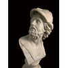 Anonimo del XX secolo, "Busto di Menelao" 
