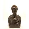 Busto di Voltaire