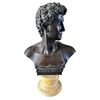  Busto in Bronzo 'Davide' con Base in Marmo, su colonna in marmo verde, XIX Secolo 