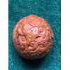 Walnut engraved with characters in the round China.     