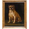 Scuola lombarda, sec. XVIII, Ritratto di cagnolino