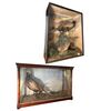 Coppia di teche decorative in vetro