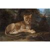 French School, 18th century, Young lion