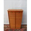 DOUBLE OFFICE SHUTTER IN OAK, EARLY 1900s FRANCE