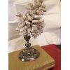 Corallo bianco su base bellissima argento del 1700 h 45 cm