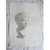 Charcoal drawing on paper depicting a marble bust of a boy.Signed: Federico Pietra 1914.Bologna.