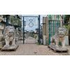 dars388 - pair of lions in Vicenza stone, cm l 62 xh 130 x d. 150     