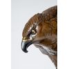 K&#333;min &#39640;&#27665; - Importante scultura in bronzo raffigurante un falco.