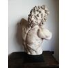 Busto in gesso