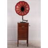 Antico grammofono francese del 1900 in rovere