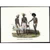 the inhabitants of New Guinea