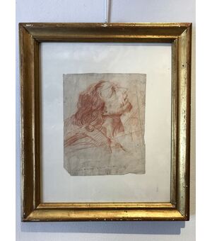 Study of a male head, sanguine drawing on parchment, late 17th century NOT ACTIVE     