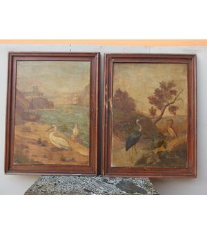 COPY OF PAINTINGS ON OIL ON CANVAS DEPICTING BIRDS FROM THE END OF 800     