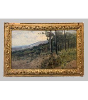 Enrico Crecí I Alcober (1878-1935) - Magnifico paesaggio invernale