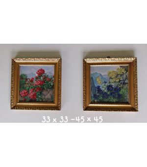 Fiori di montagna