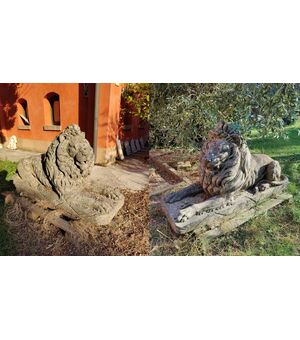Spettacolare coppia di Leoni in pietra di Vicenza - 148 x 50 cm
