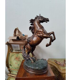 Magnifico cavallo rampante in bronzo - H 68 cm