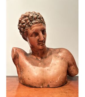 Grande busto di "APOLLO" in terracotta
