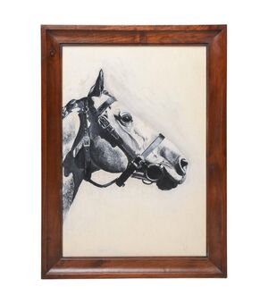 Dipinto "Testa di cavallo" - O/5149 -